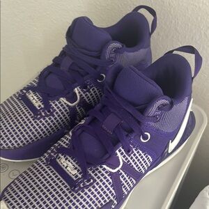 LeBron witnesses 7 (with box)